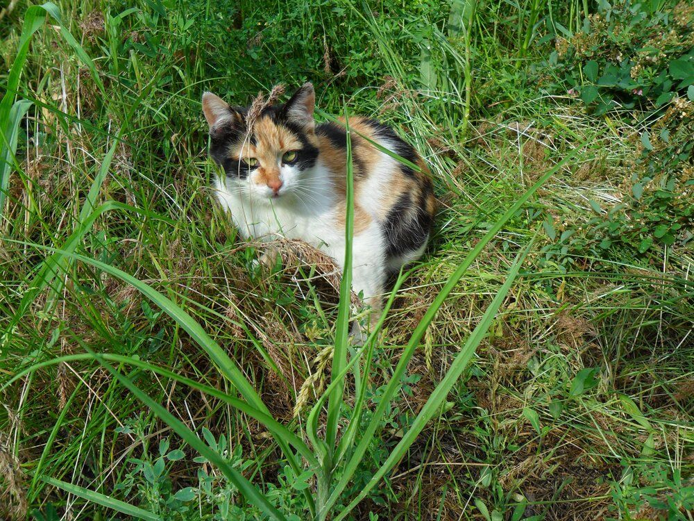 Photograph by Виталий Талисман