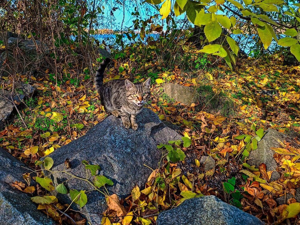 Photograph by Виталий Талисман