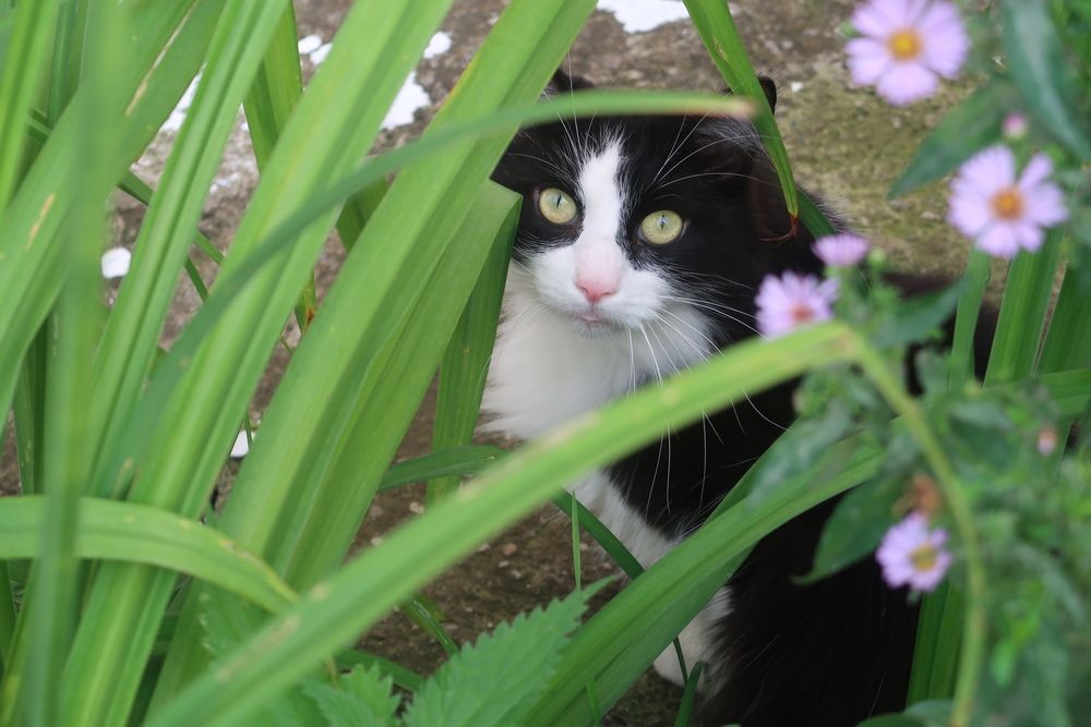 Photograph by Нина