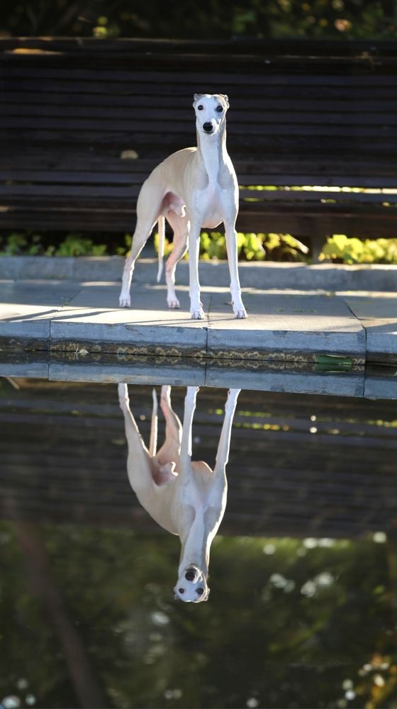 Фотография автора Татьяна Федченко