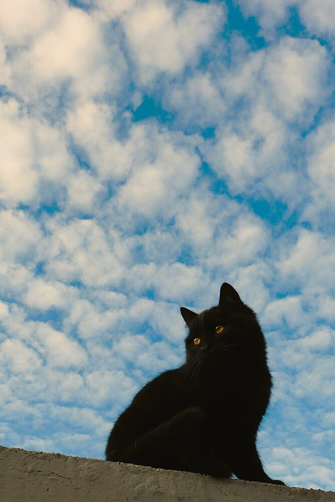 Photograph by Марина А-Б