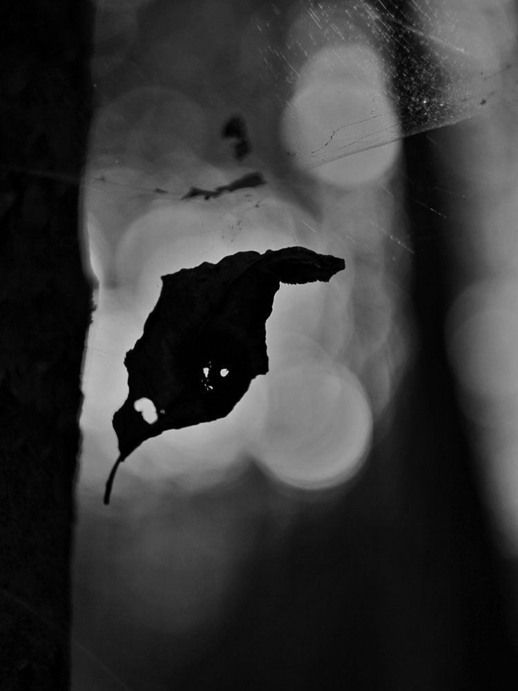 Photograph by Андрей Шестаков