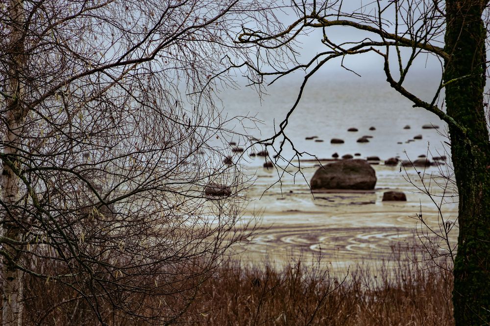Photograph by Светлана Разумовская