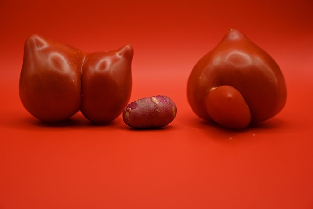 Photograph by Cristian Mirescu