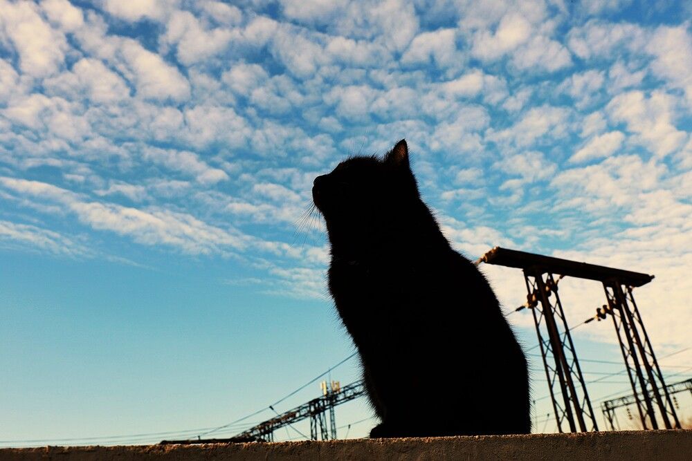 Photograph by Марина А-Б