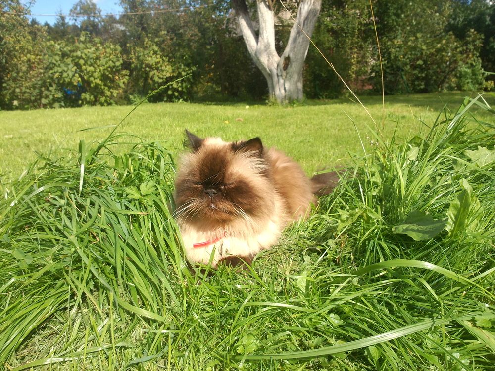 Фотография автора Марина Карасева