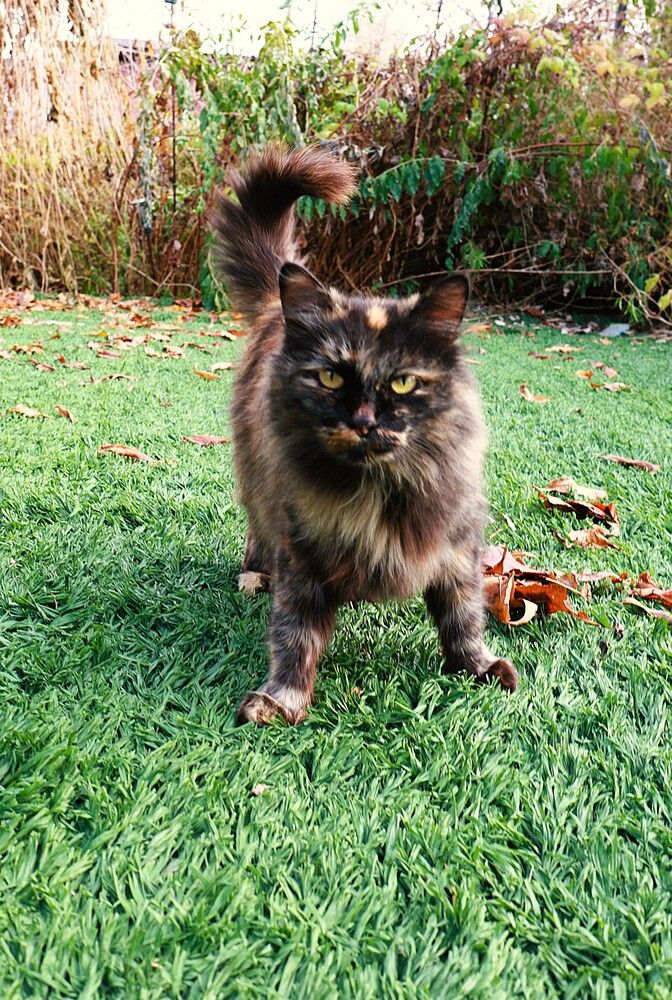 Photograph by Марина А-Б