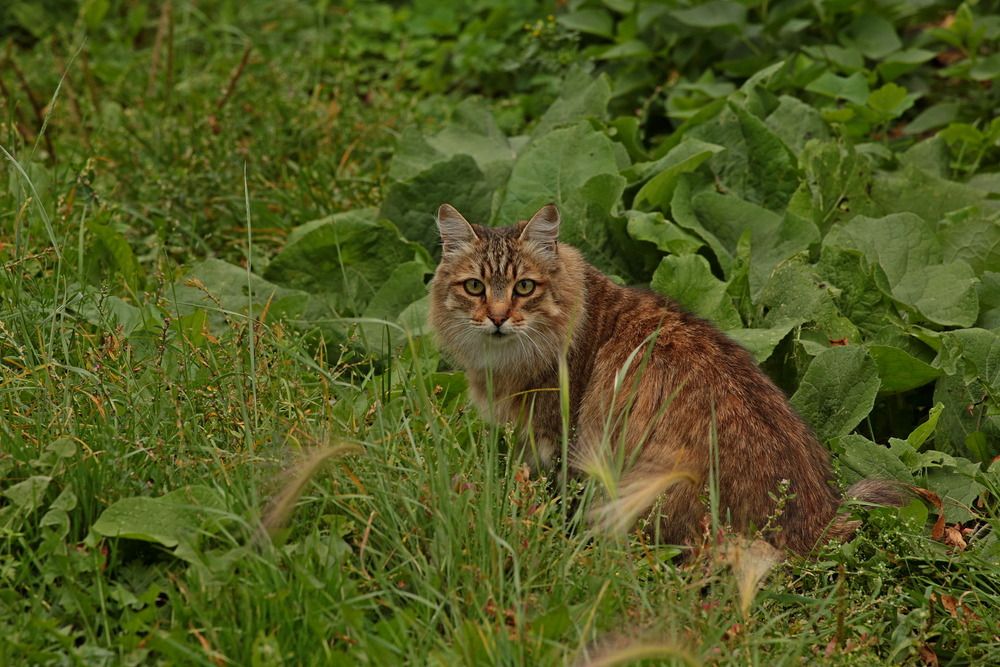 Фотография автора Александр Кожевников