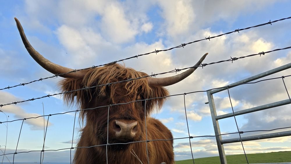 Photograph by Ekaterina Kazarez