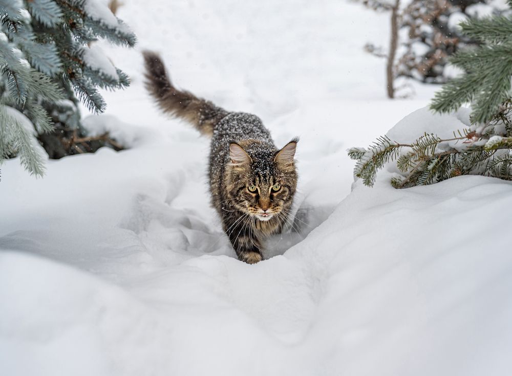 Photograph by NADEZHDA PELYMSKAIA