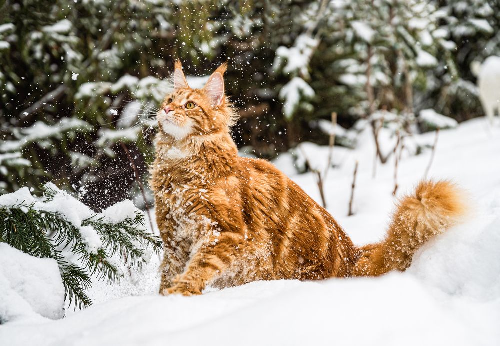 Photograph by NADEZHDA PELYMSKAIA