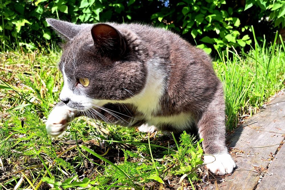 Photograph by Валентина Кузьменко