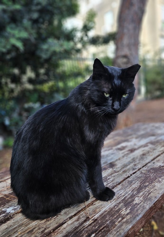 Фотография автора Oksana Podgorodetska