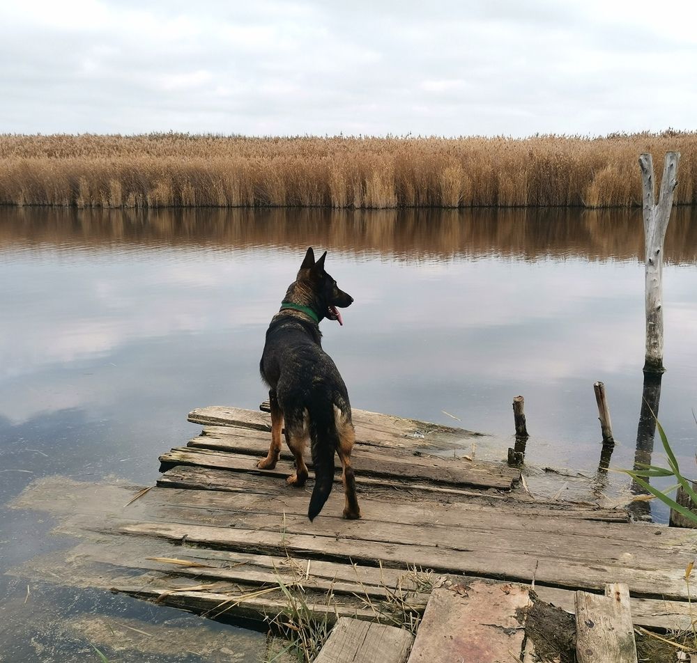 Фотография автора Ольга Давыдова