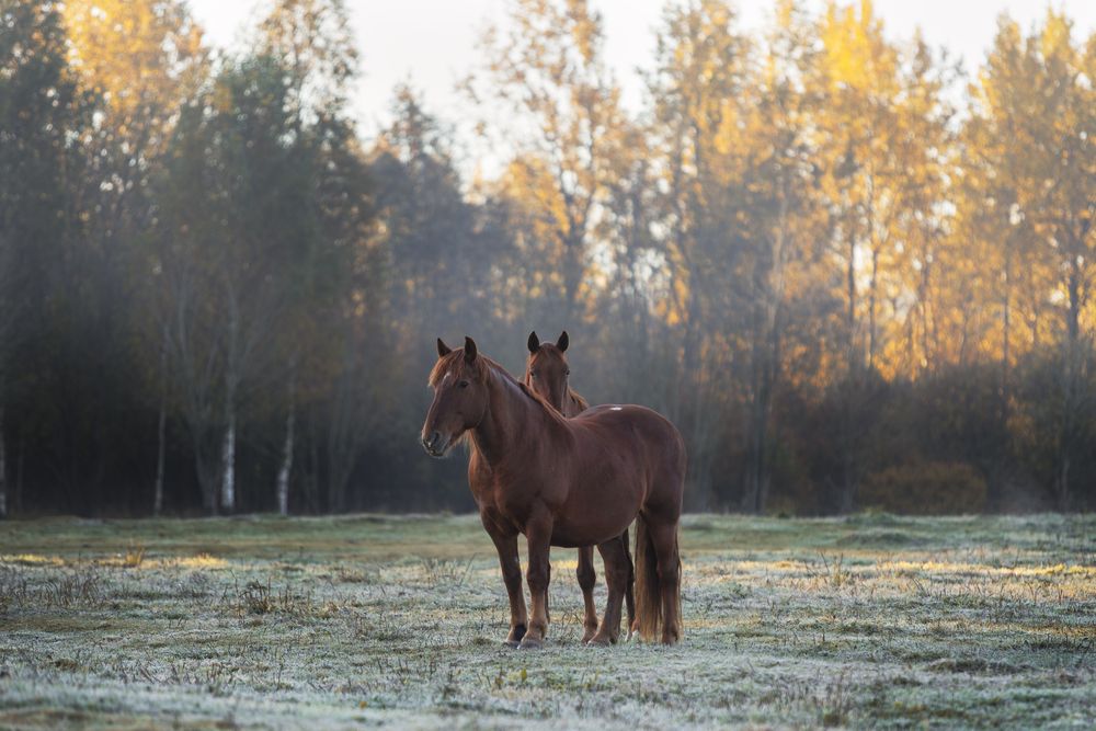 Фотография автора Anastasiya