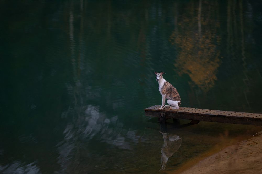 Photograph by Elena Yakuseva