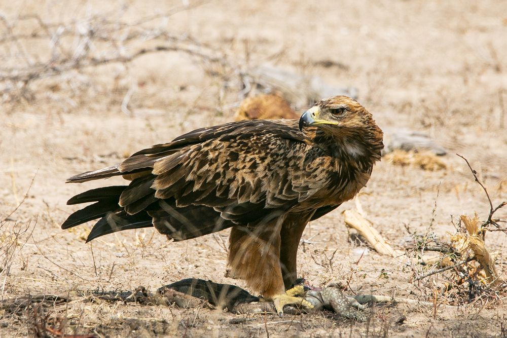 Photograph by JEFFERSON RODRIGUES DE OLIVEIRA E SILVA