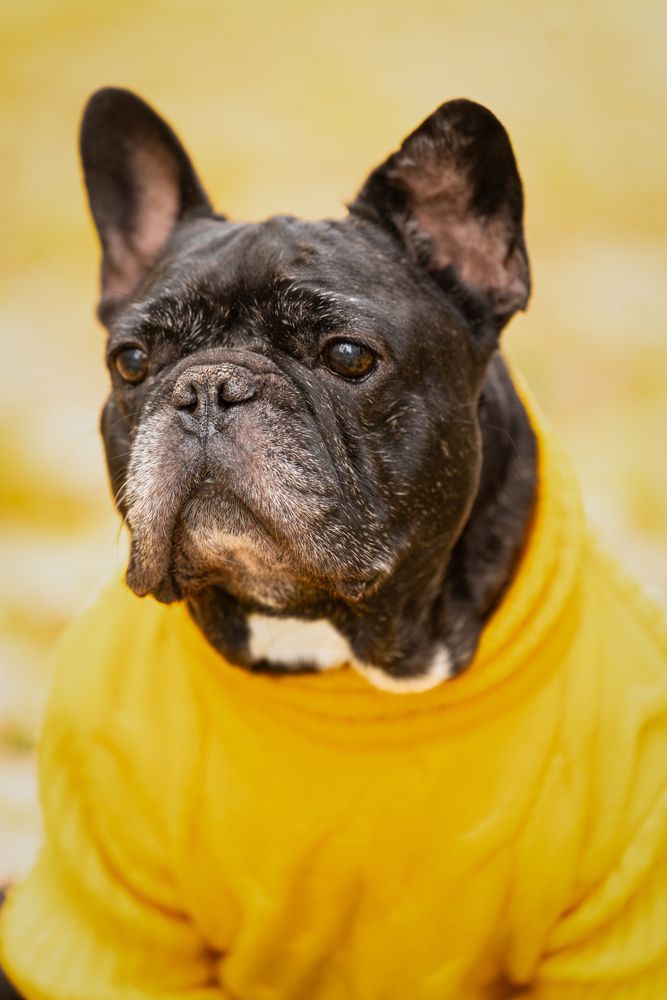 Photograph by Анастасия Симакова