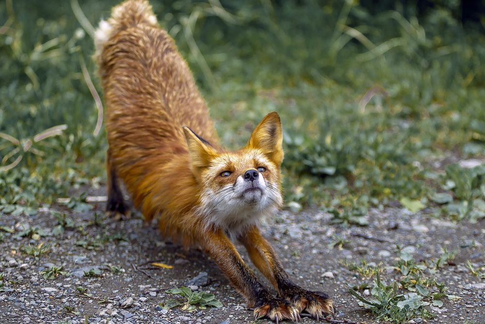 Фотография автора Dmitriy Frost