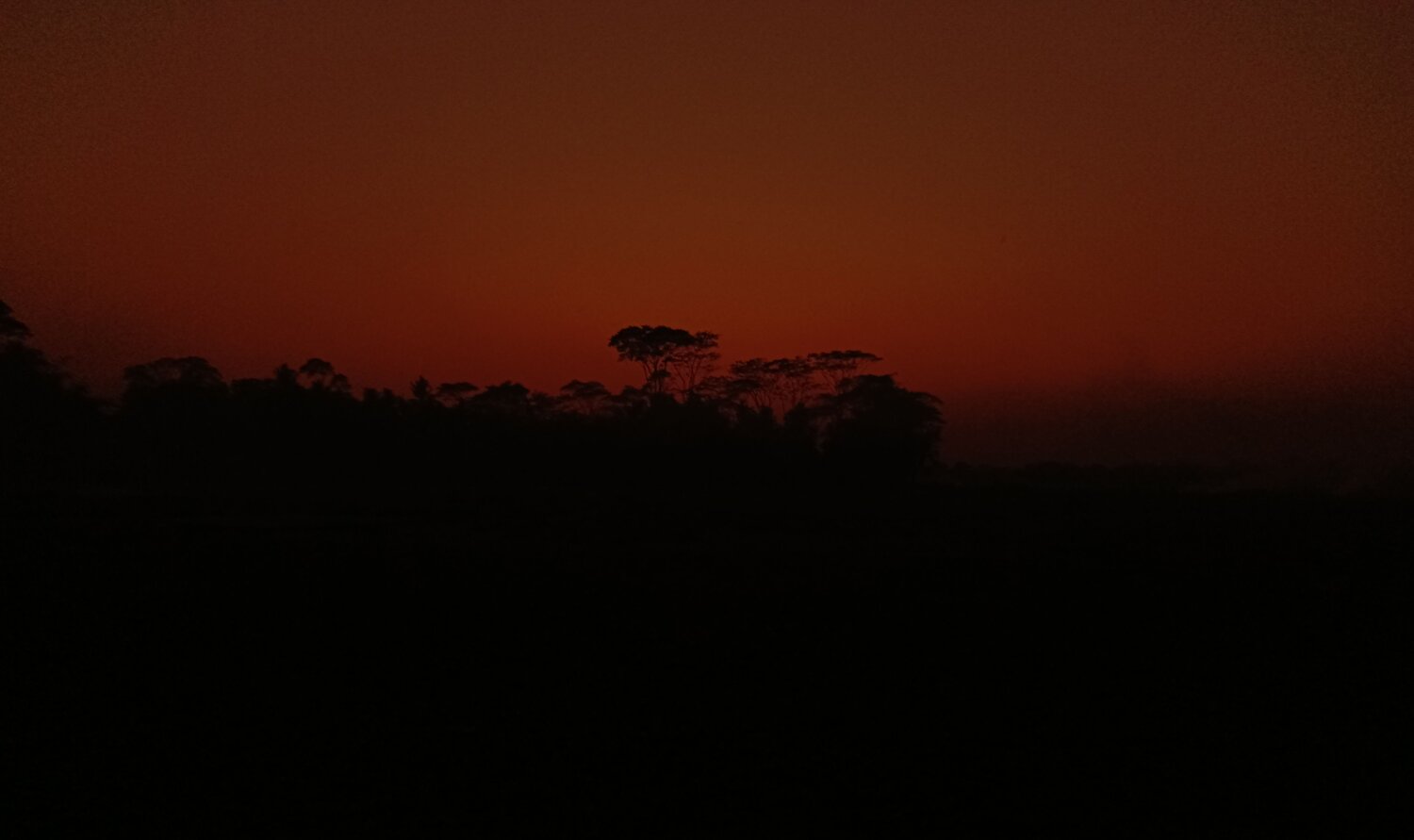 Photo #12800906