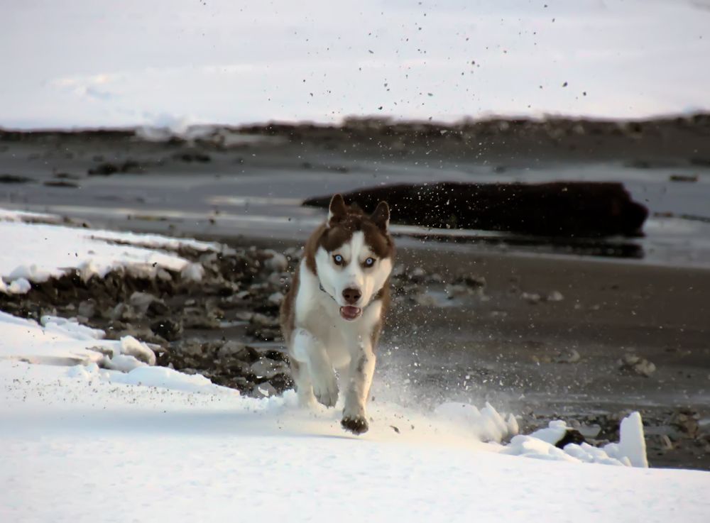 Фотография автора Dmitriy Frost