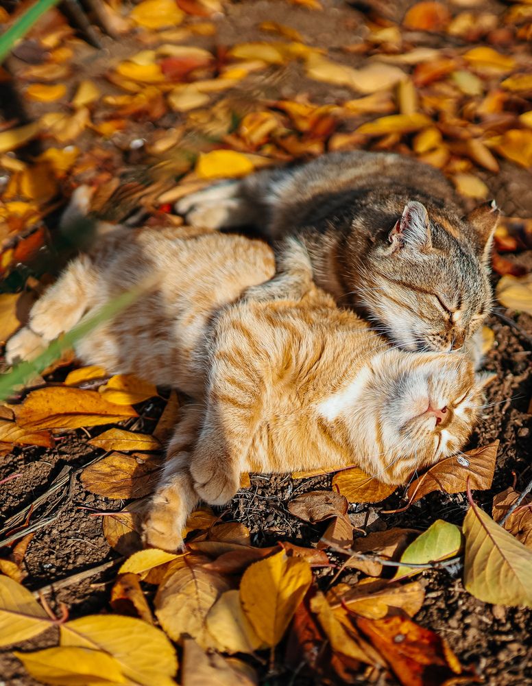 Photograph by Юлия Клименко