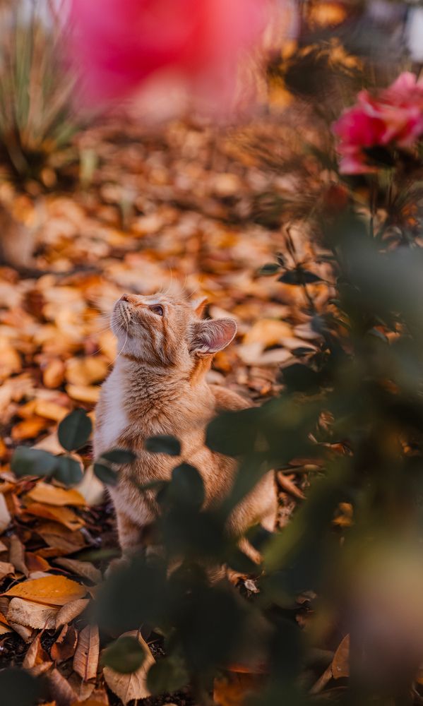 Photograph by Юлия Клименко