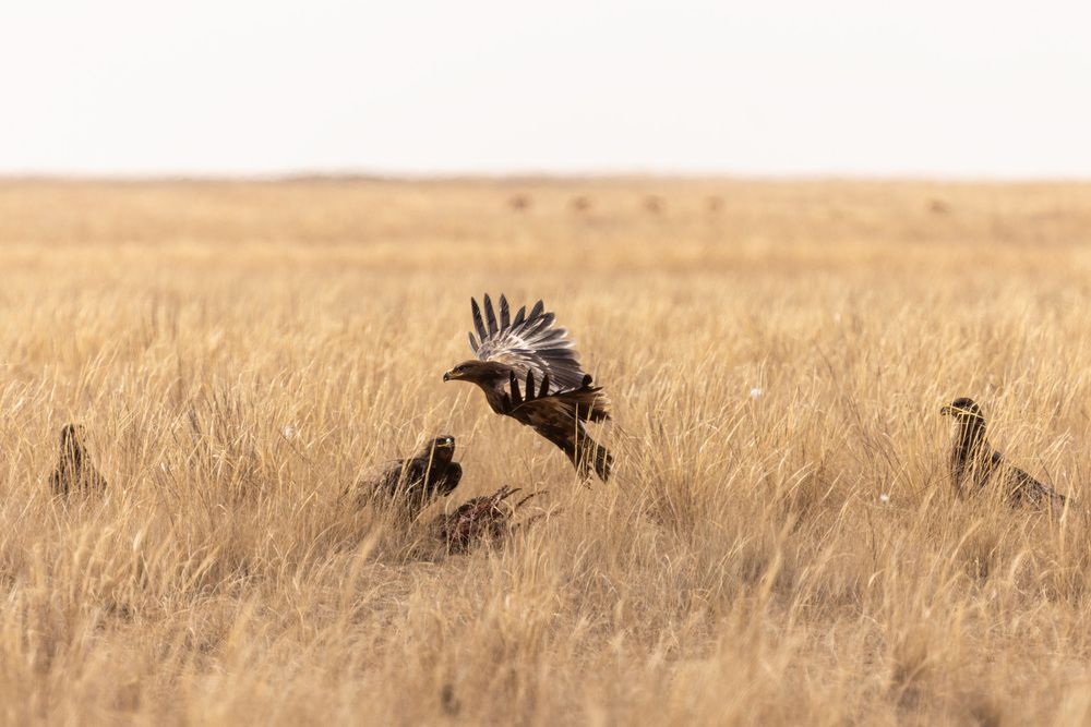 Photograph by Александр Ильин