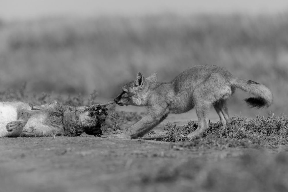 Photograph by Александр Ильин