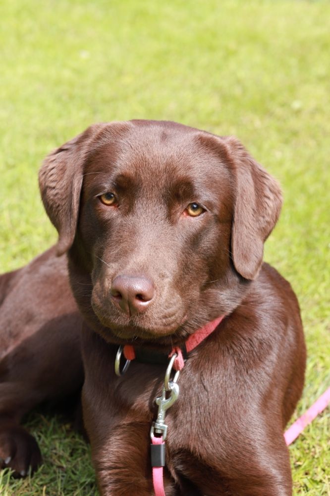 Photograph by Анна Берилло