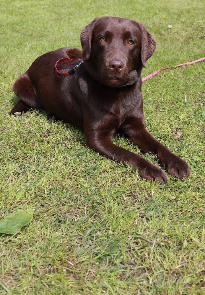 Photograph by Анна Берилло