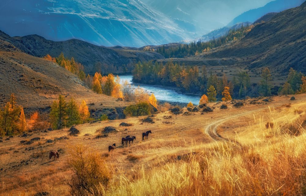 Photograph by Лора Павлова
