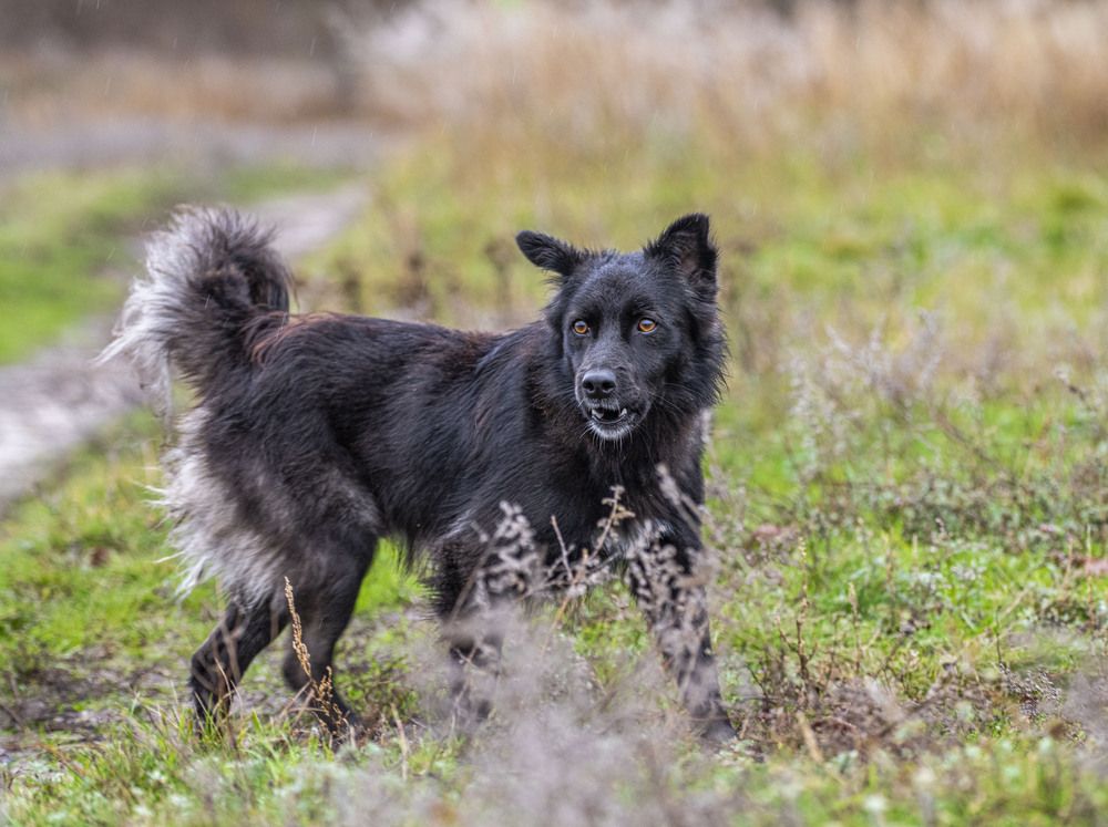 Photograph by Алексей Сиваков