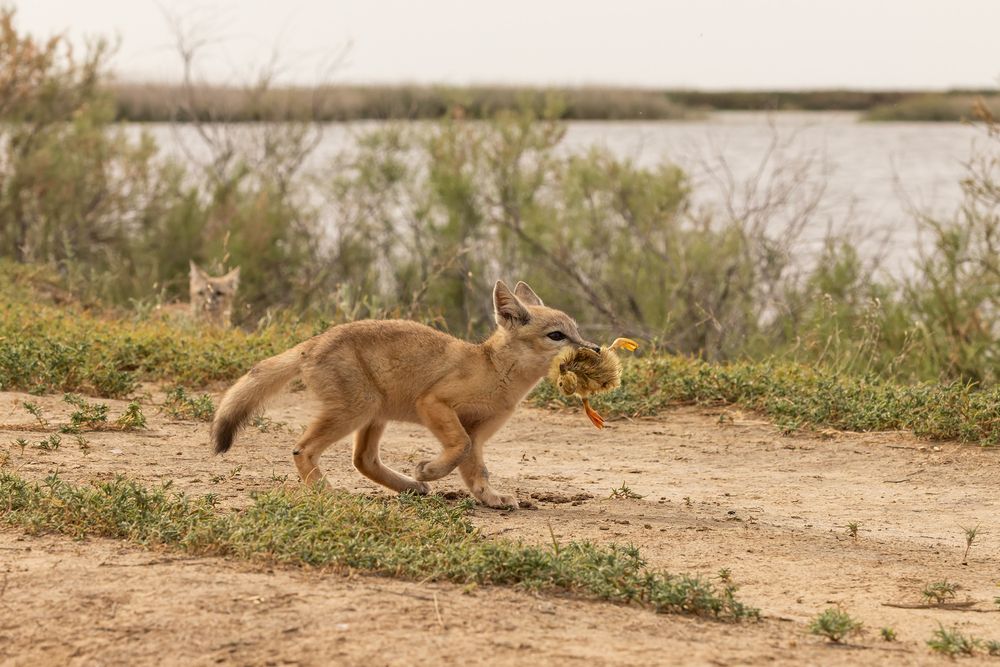 Photograph by Александр Ильин