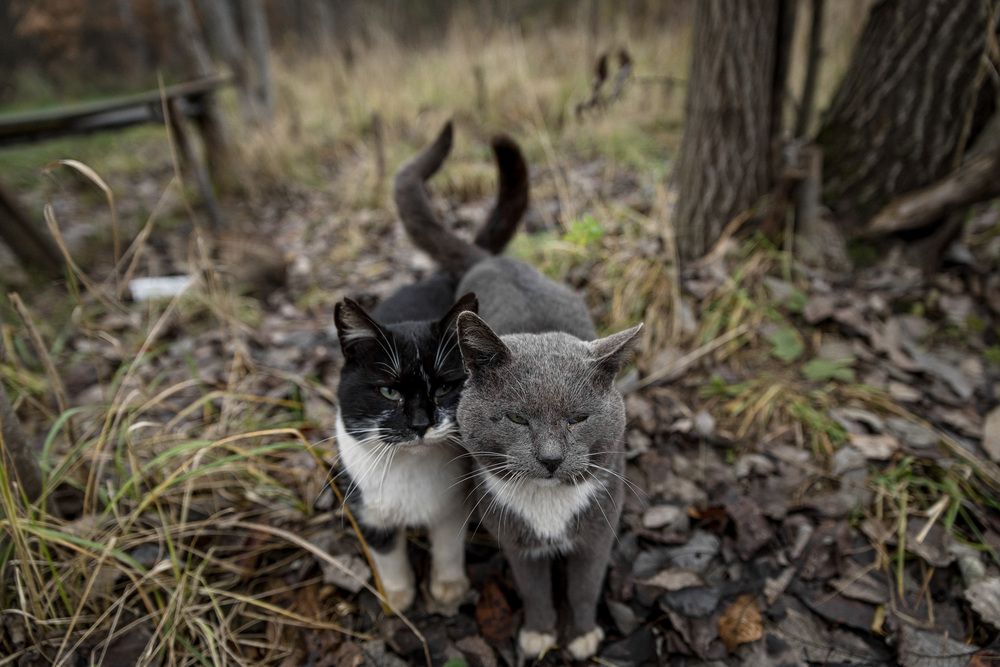 Photograph by Алексей Кацан