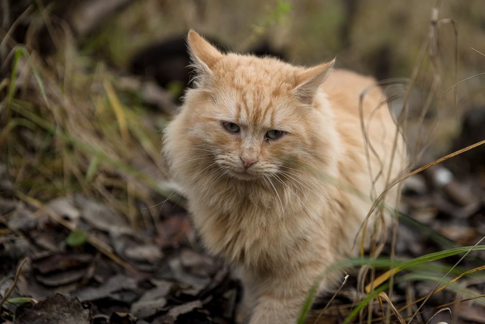 Photograph by Алексей Кацан