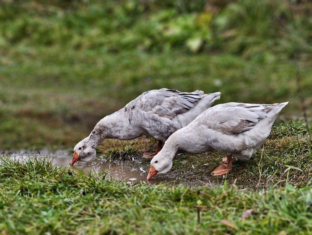 Photograph by Ekaterina Fadeeva