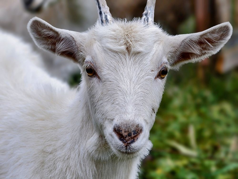 Photograph by Ekaterina Fadeeva