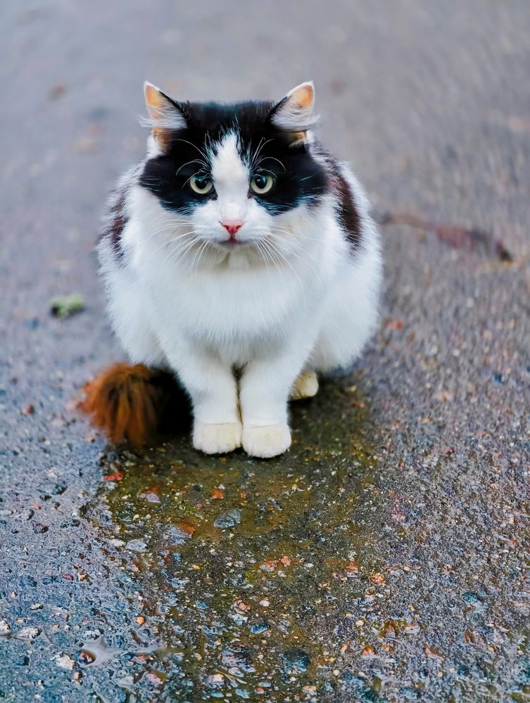 Photograph by Ekaterina Fadeeva