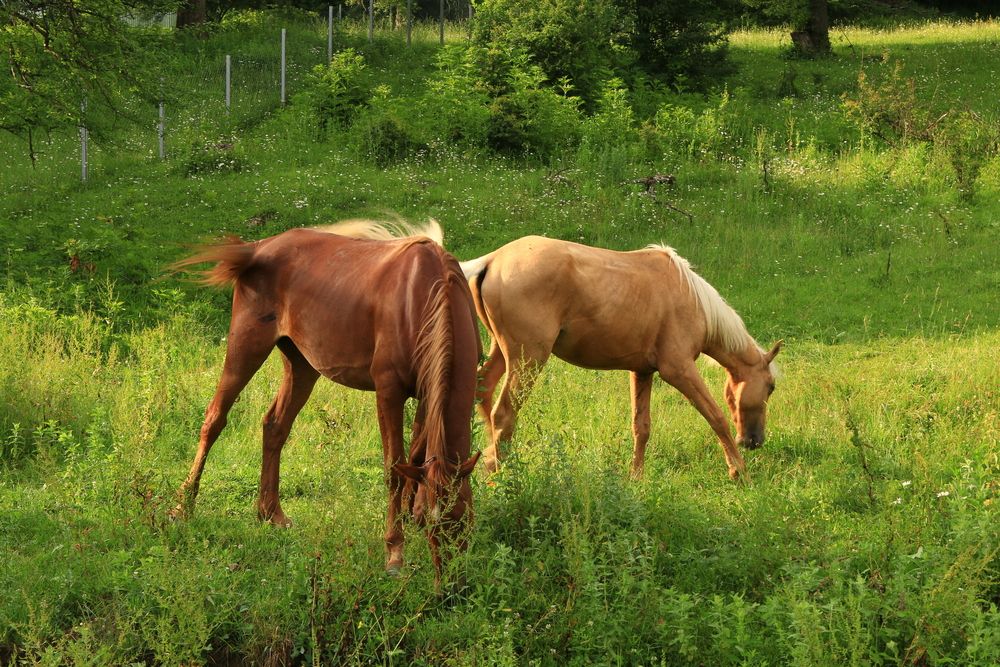 Фотография автора Сергей Кульков