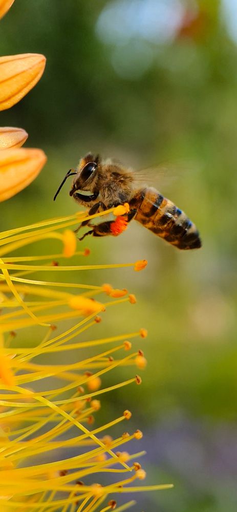 Photograph by Кристина Дугина