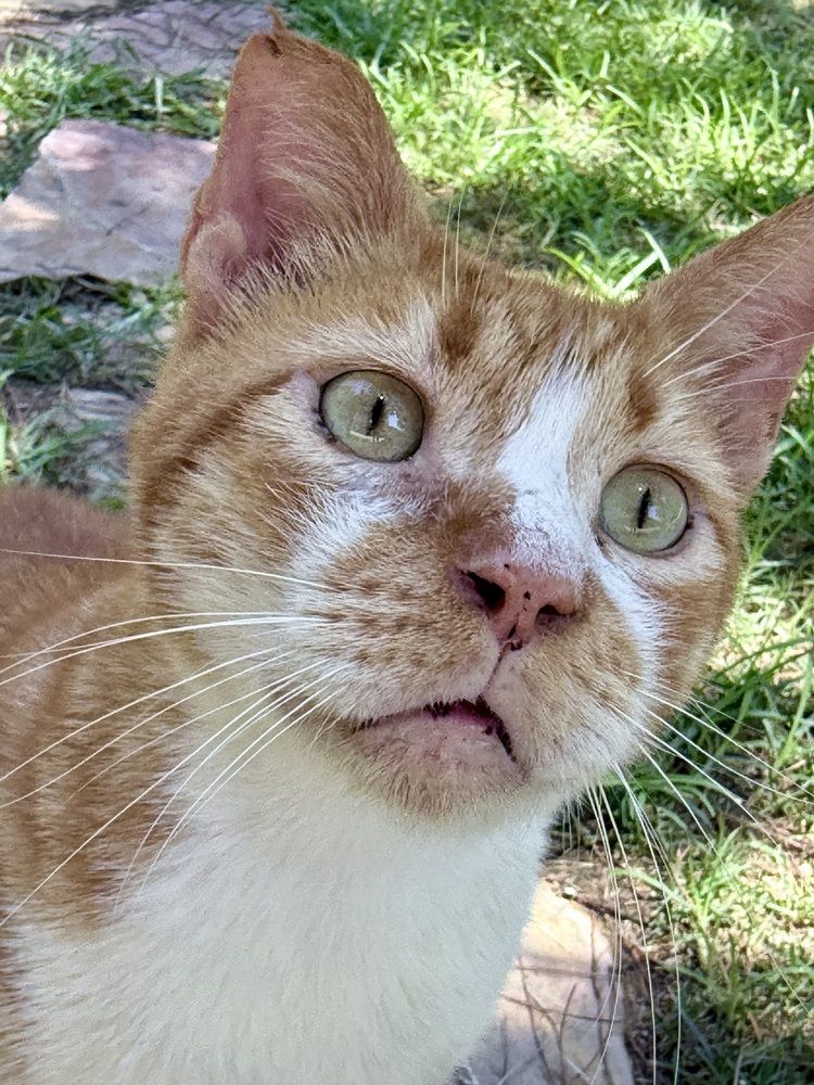 Photograph by Наталья Жигелис