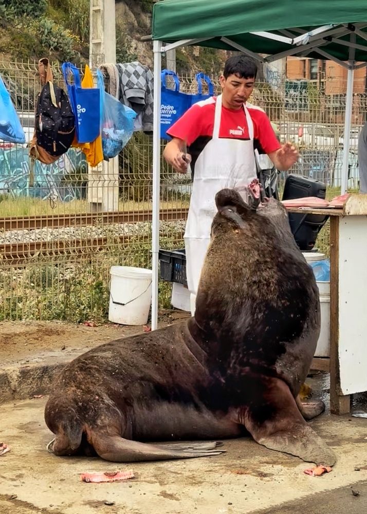 Photograph by Юлия Порфирьева