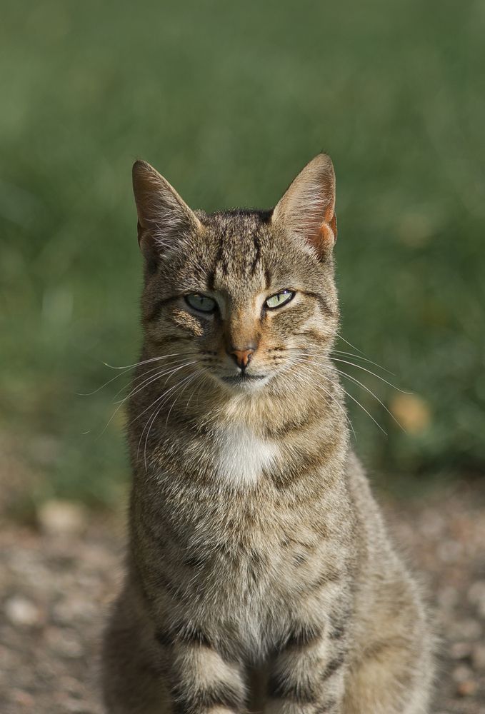 Photograph by Виктория Уварова