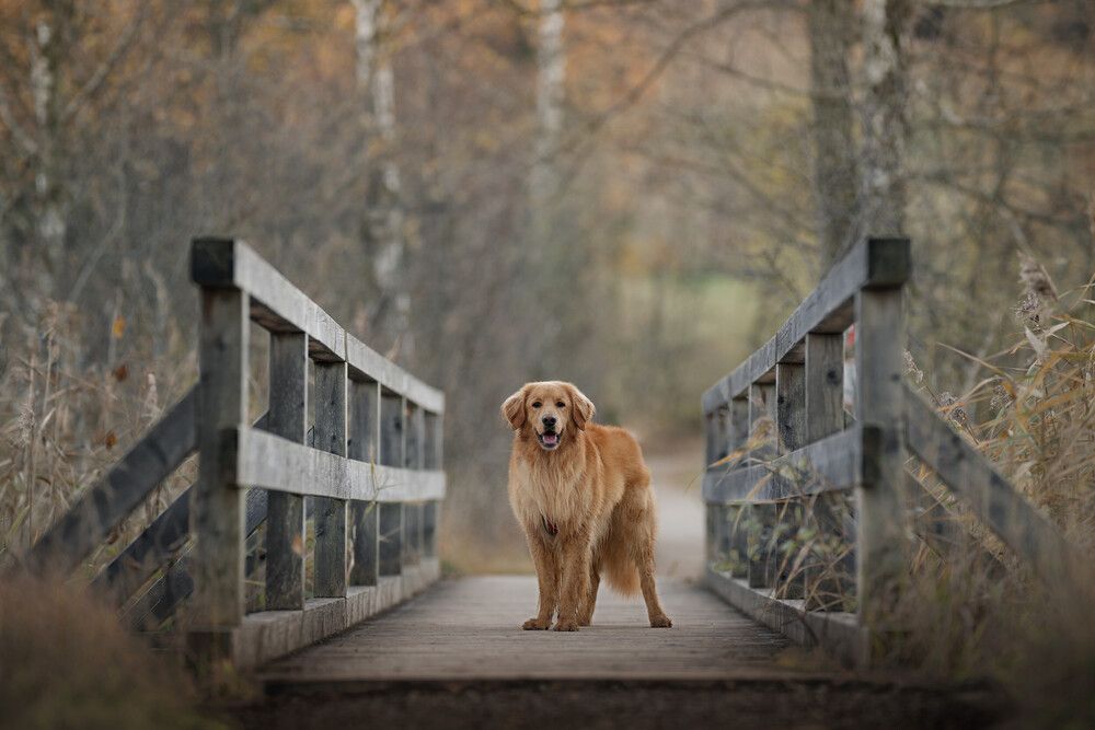 Photograph by Maja Esch