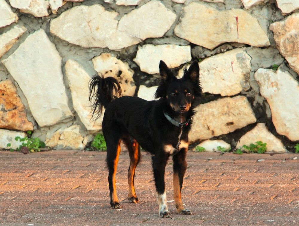 Photograph by Людмила Бутова