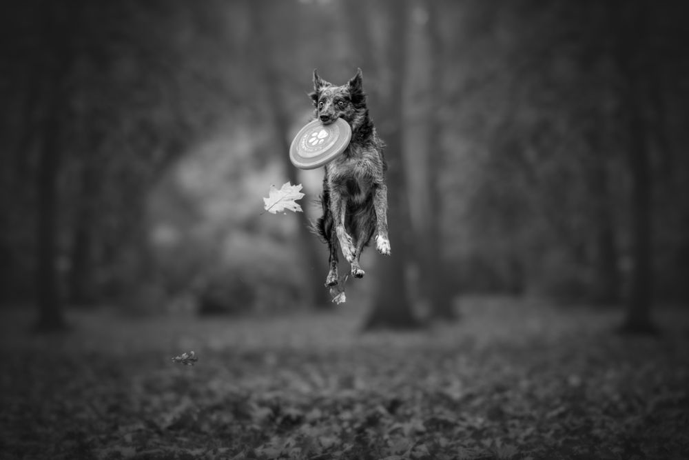 Photograph by Lucie Nermuťová