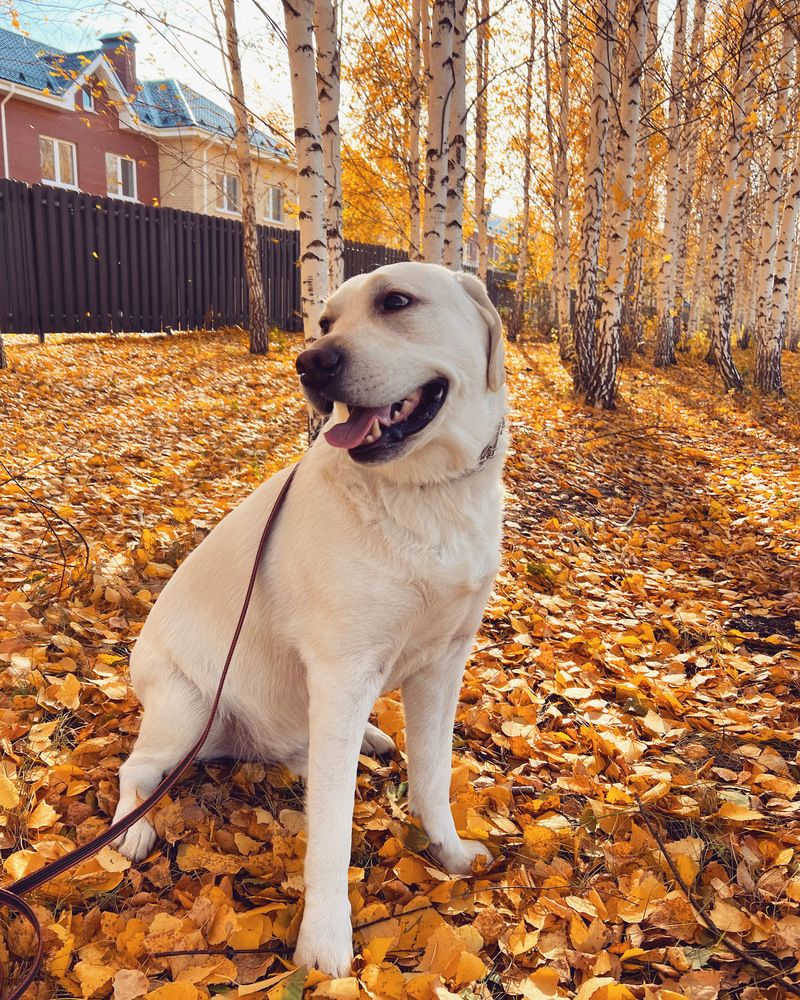 Photograph by Татьяна Волохова