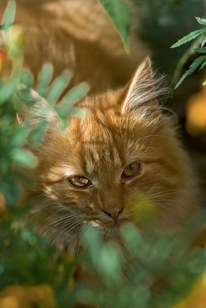 Photograph by Виктория Уварова