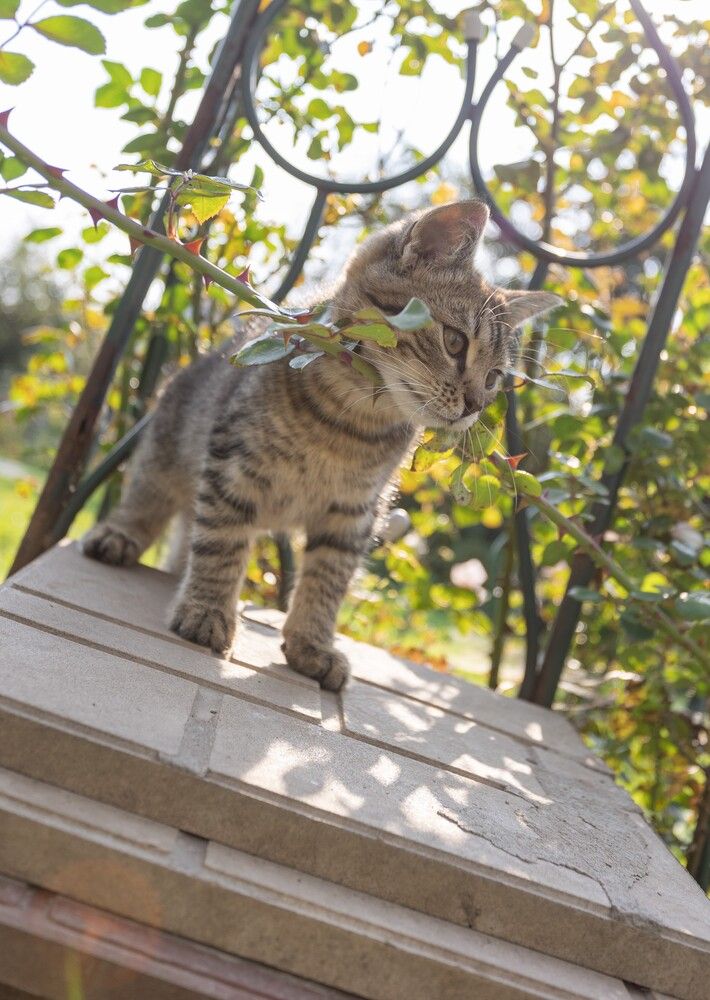 Photograph by Герман Корнеев